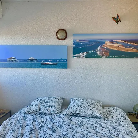 Appartement T2 Bellevue